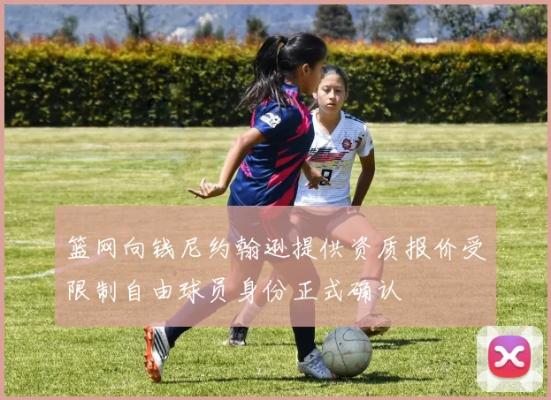 篮网向钱尼约翰逊提供资质报价受限制自由球员身份正式确认